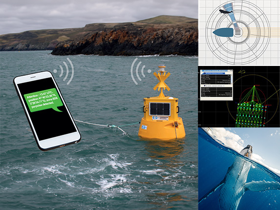 Passive Acoustic Monitoring | Sercel